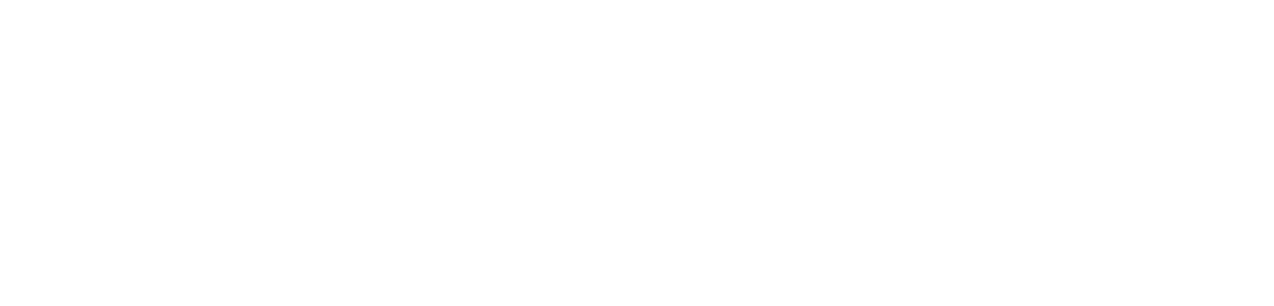 Skill Edge Tech Solutions